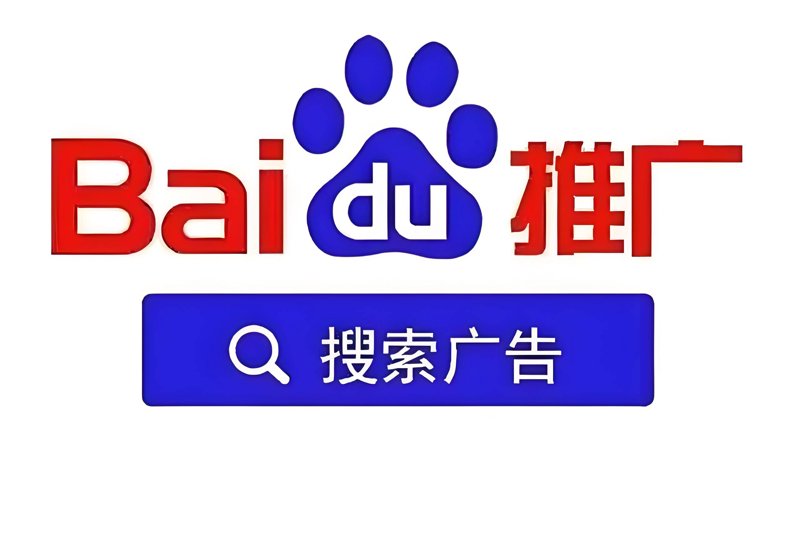访谈记录：对话网站设计师，探索网站设计的奥秘